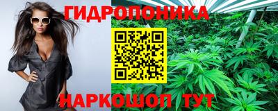 соль ск Кингисепп