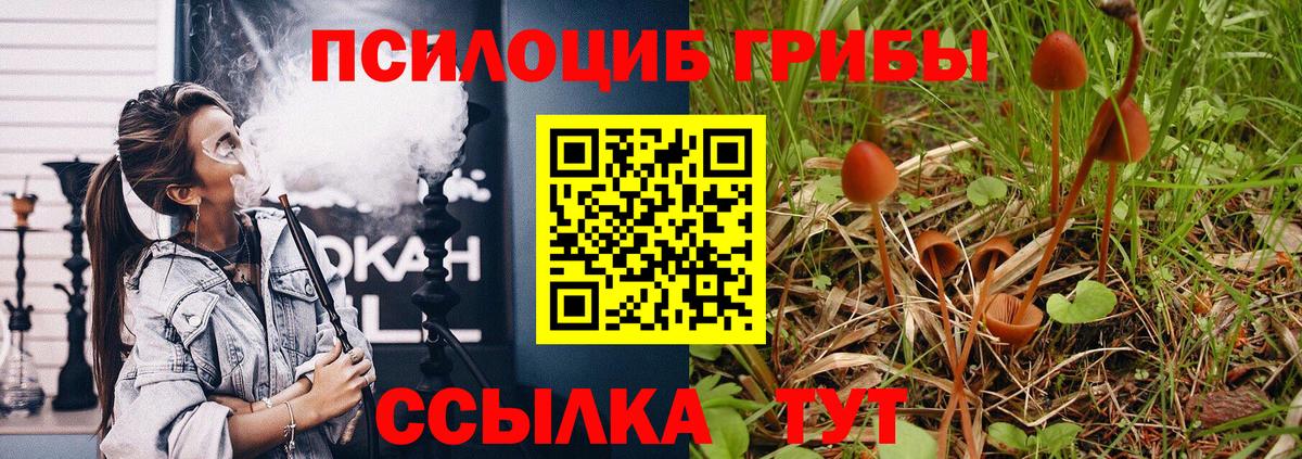 Галлюциногенные грибы Magic Shrooms Красноярск